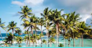 Best Things to Do: The Must-List.