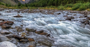 The Thrill of the Chase