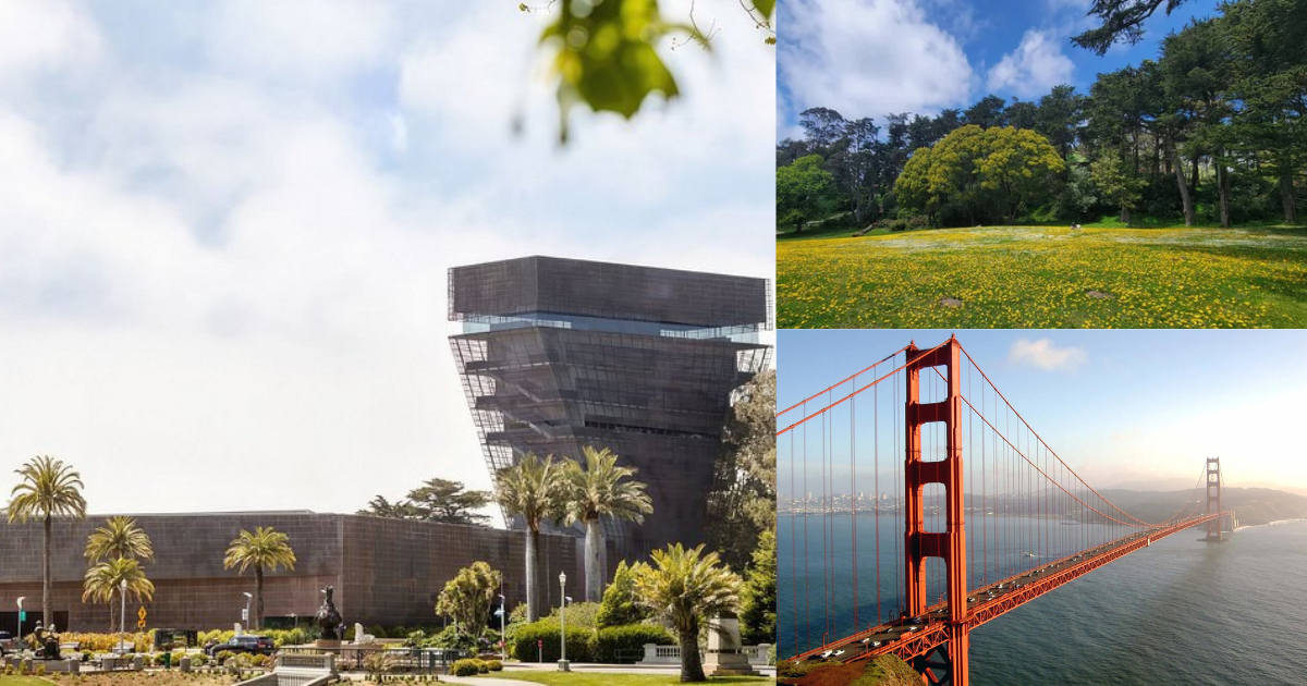 The very last escape: Museums, Meadows, and thriller in Golden Gate Park