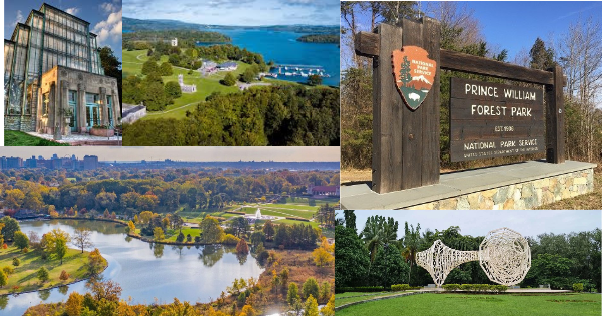 Forest Park: Portland’s 5,000-Acre Natural Legacy