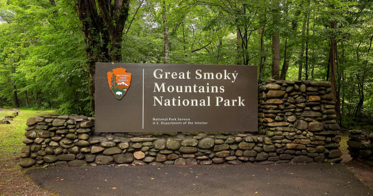 Waking Up in the Mist: Five Reasons to Escape to the Great Smoky Mountains