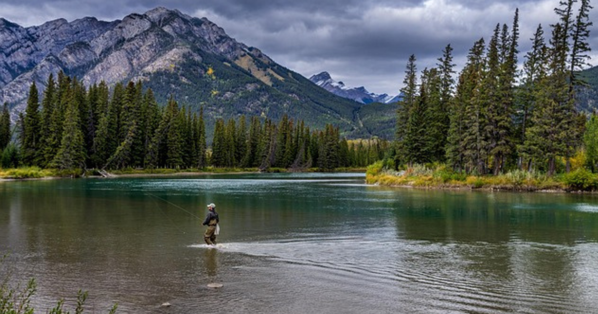 Wilpattu national park