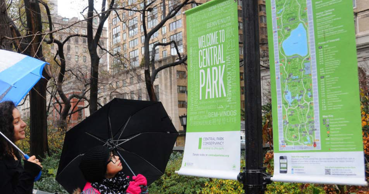 Central Park: The Green Heart of New York City